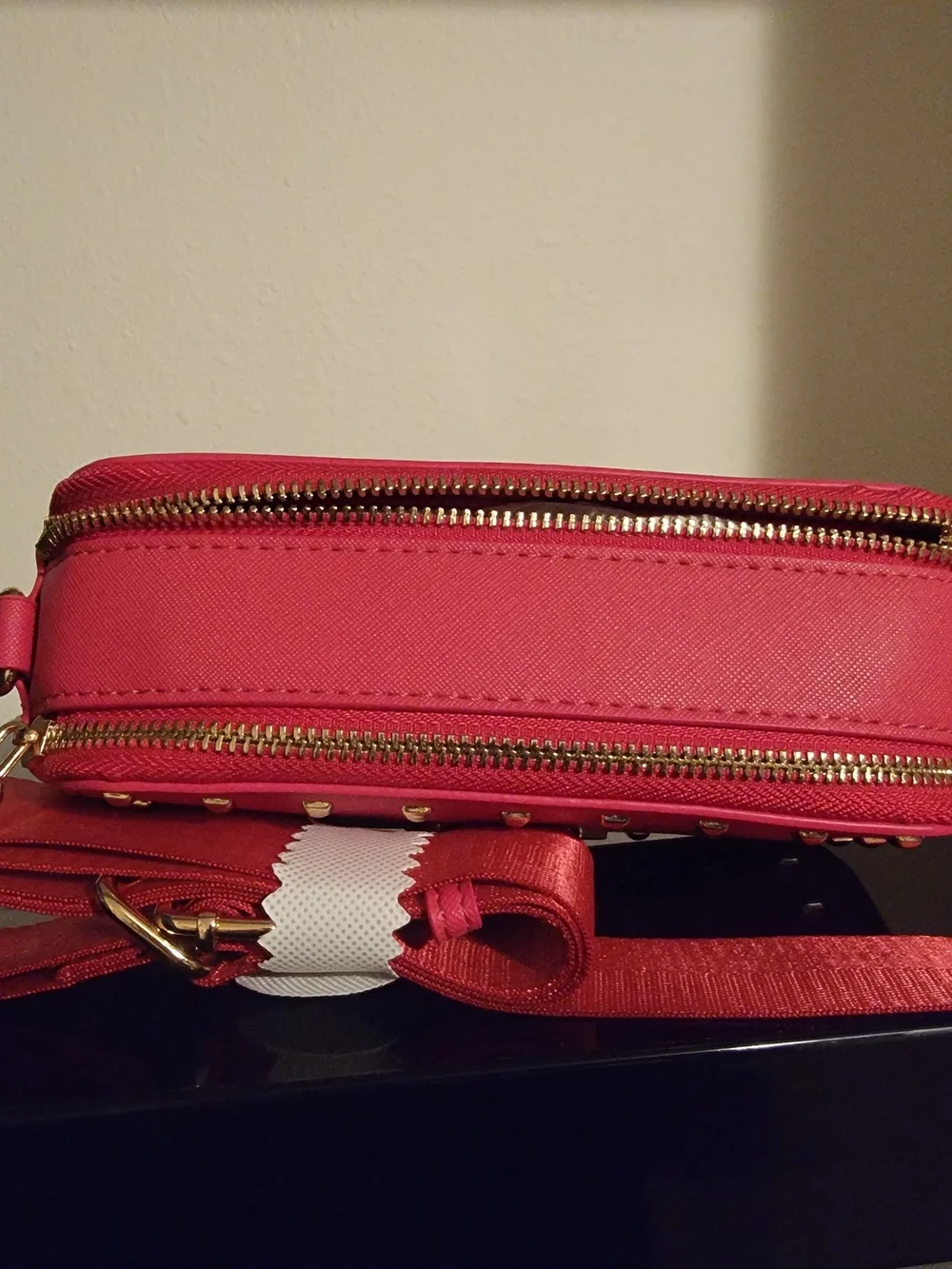 Valentino Orlandi Pink Crossbody Camera Bag with Stud Detail
